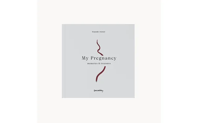 My Pregnancy