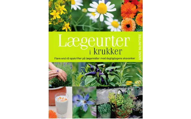 Lægeurter I Krukker
