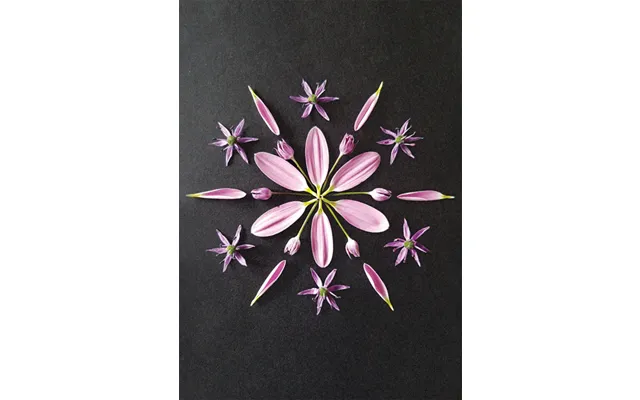 Postkort - Natur Mandala