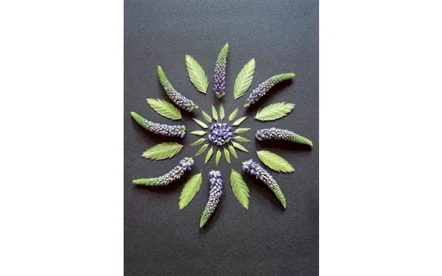 Postkort - Natur Mandala