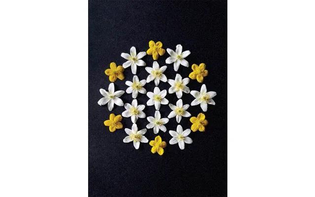 Postkort - Natur Mandala