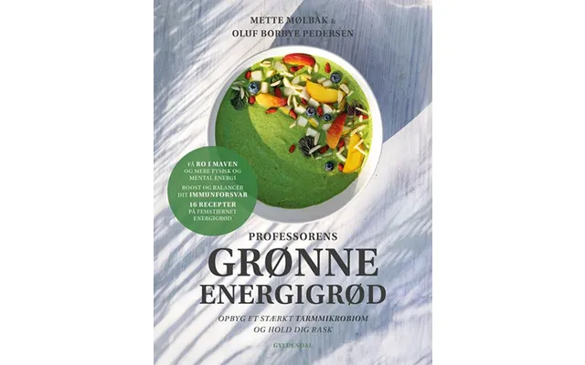 Professorens Grønne Energigrød