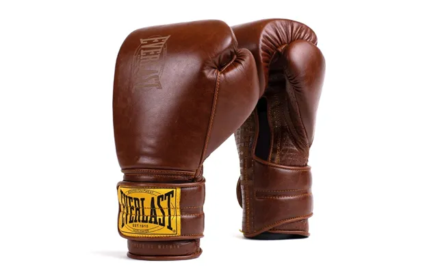 Everlast 1910 Hook Loop Boksehandsker Brun
