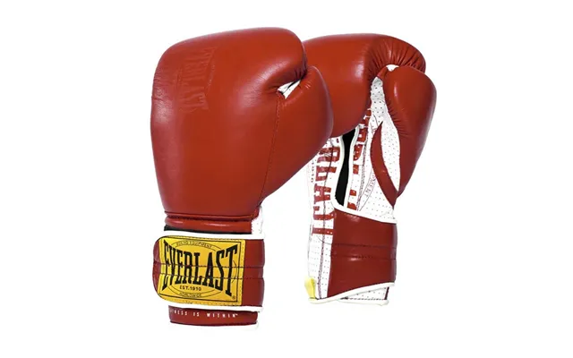 Everlast 1910 Hook Loop Boksehandsker - Rød