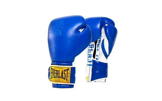 Everlast 1910 Hook & Loop Sparring Boksehandske Blå product image