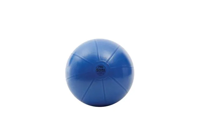 Toorx Antiburst Træningsbold - Ø55 Cm