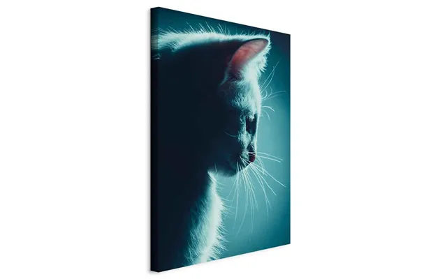 Lærredsbillede Night Tramp Lodret Med Kattemotiv - 60 X 90 Cm