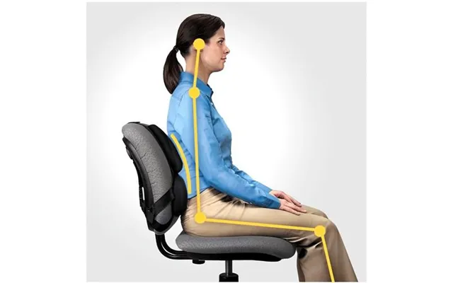 Mesh Rygstøtte Fellowes Ergonomics Professional - Sort