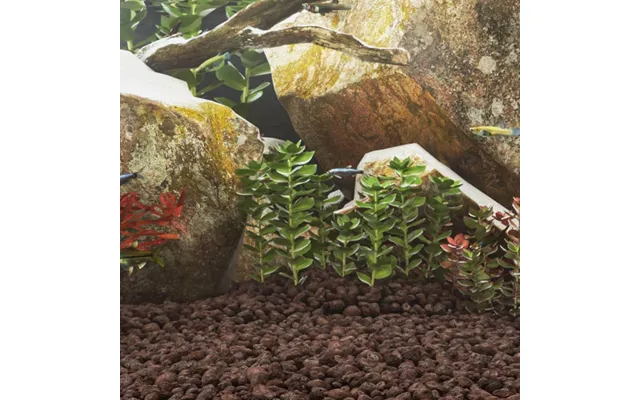 Vulkanske Sten Til Akvarium - Rød Lavasten 3-5 Cm, 10 Kg