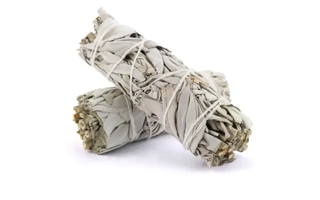 California Hvid Salvie Rensepinde 10 Cm Økologisk Smudge Stick