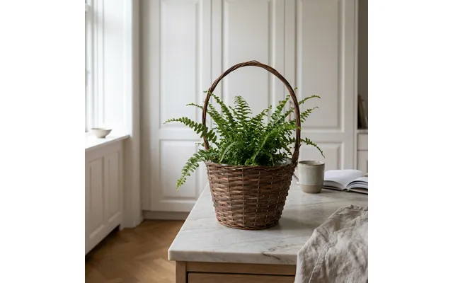Høj Plantekurv I Råpil Med Hank Ø27×h19 50 Cm