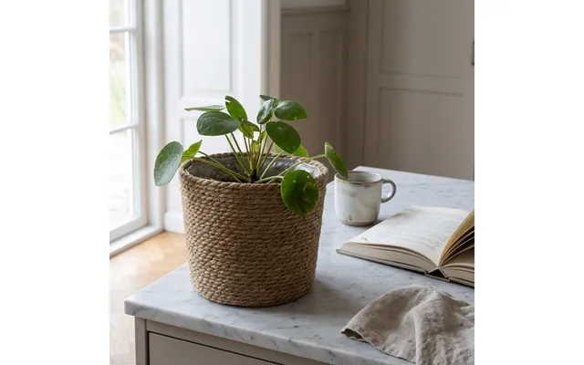 Planteskjuler I Hamp Ø24xh22 Cm