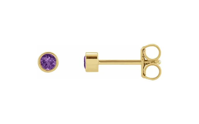 Petit Bezel 14kt Ametyst