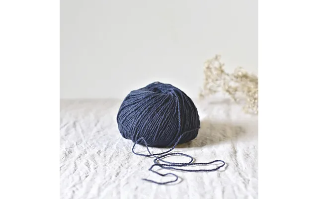 Ulysse - Baleine Bleue