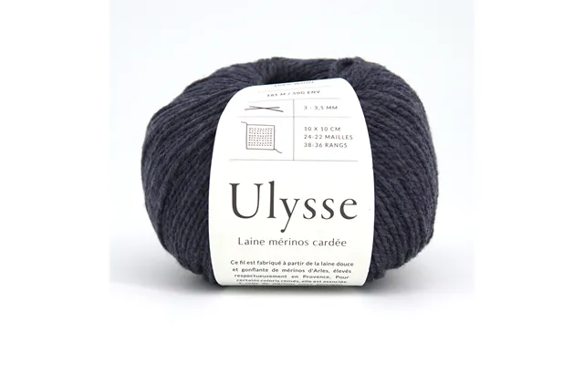 Ulysse - Tempête