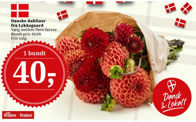 1 Bundt