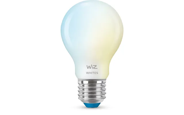 Wiz Matteret Glaspære 60 W A60 E27
