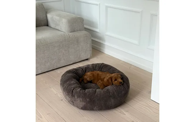 Elva Hundekurven I Mørk Brun - Bred Fløjl