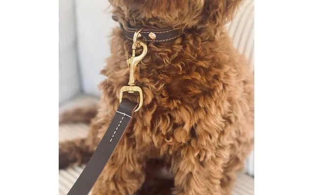 Hundesnor I Brun Læder 140cm - 140 Cm