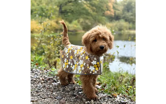 Regnjakke Til Hund M. Blomster Gul -