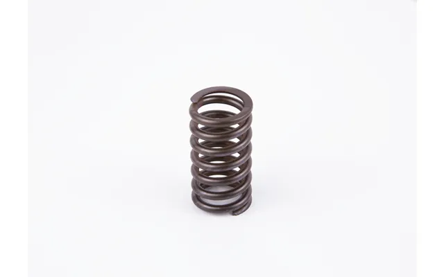 Bosch Fjeder 2434614042 For Iveco Renault