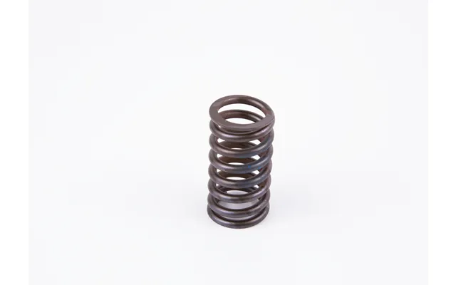 Bosch Fjeder 2434619017 For Volvo Daf Iveco Man Mercedes-benz Renault Agrale Mwm