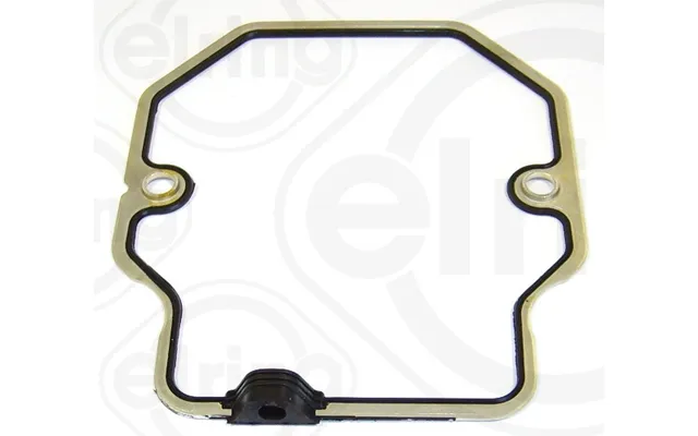 Elring 100013 For Man