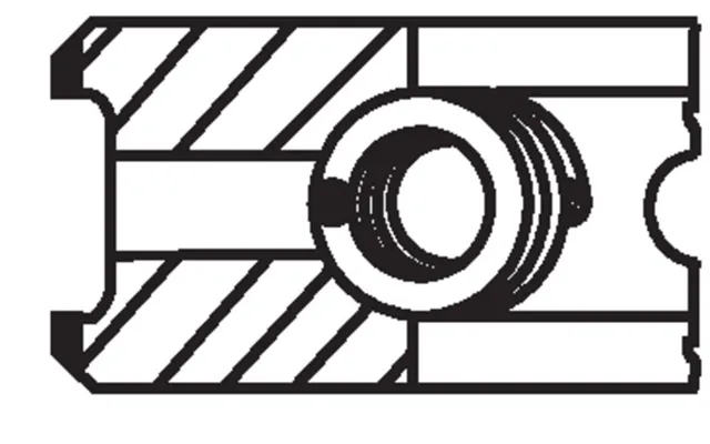 Mahle 013rs101030n0