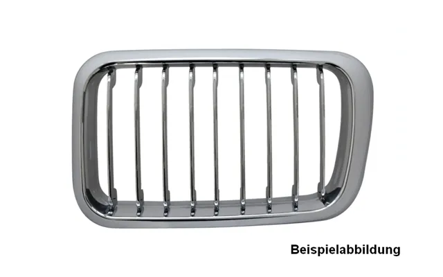 Sportsgrill Bmw E36 - Dectane