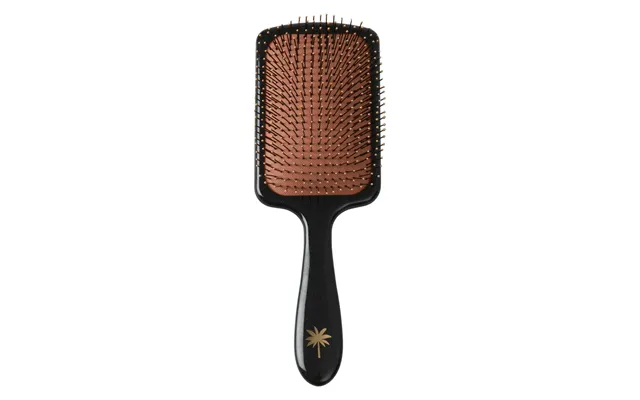 Fan Palm Big Star Wet Paddel Brush