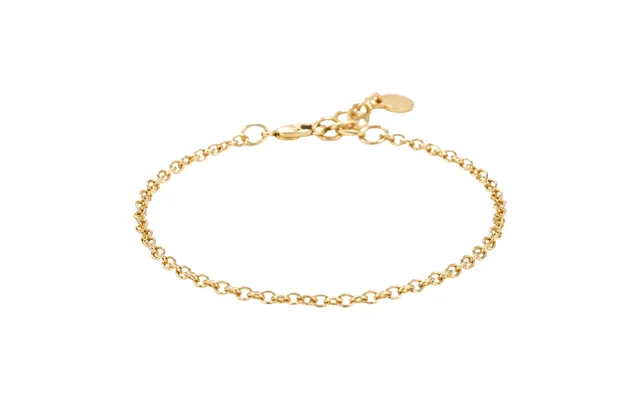 Snö Of Sweden Steel Essential Chain Anklet Plain Gold Onesize