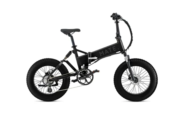 Mate X E-bike