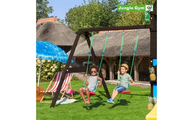 2-swing Modul 220 - Jungle Gym
