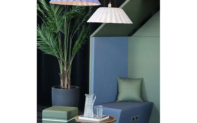 Areca Palme