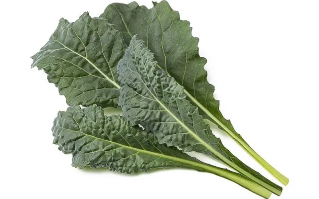 Click & Grow Smart Garden Refill Italiensk Grønkål 3 Stk.
