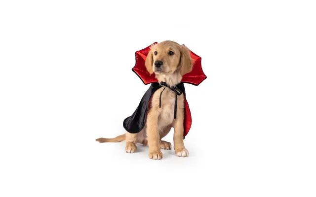 Dogman Maskeradedragt Dracula Xs