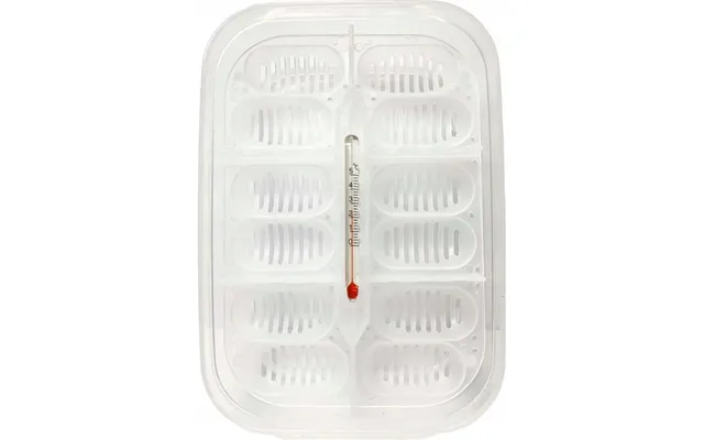 Exo Terra Inkubationsboks - 16,5 X 11 X 5 Cm