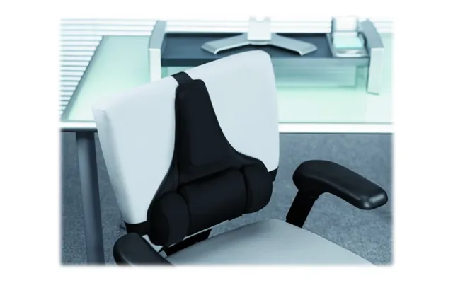 Fellowes Professional Back Support 8037613