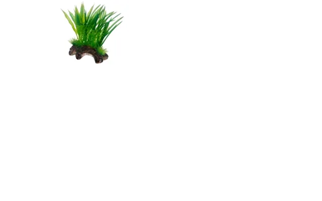 Hobby Dekor Flora Rod 1 S 17cm 17cm