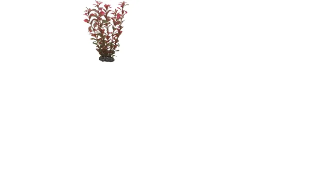 Hobby Dekorationsplante Ludwiga 25cm 25cm