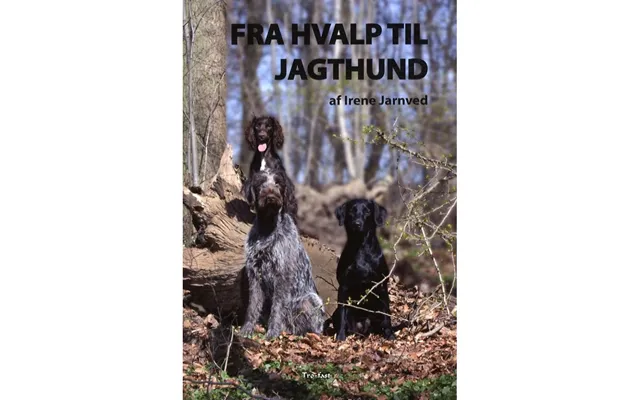 Hvalp Til Jagthund Irene Jarnved