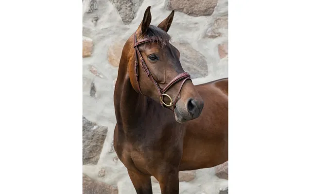Jacson Milano Aachen-trense Til Ponyer