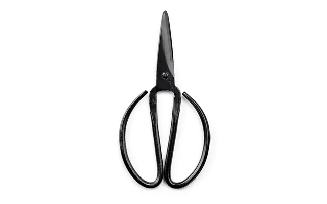 Kitchen Scissors Old Style Home