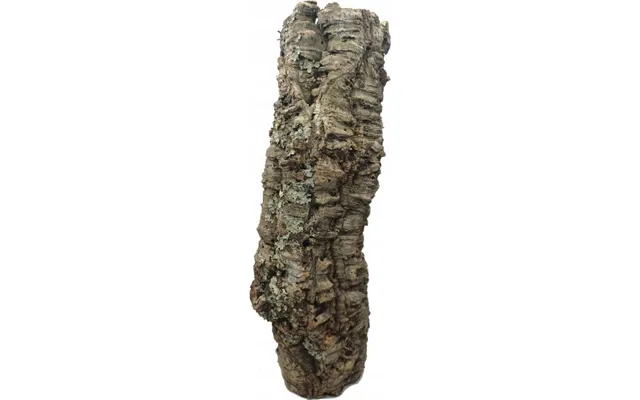 Korkrør Til Terrariedekoration S-m - 60 Cm Oprindelsesland Portugal