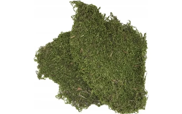 Moss Terrariesubstrat 100g Oprindelsesland Tyrkiet
