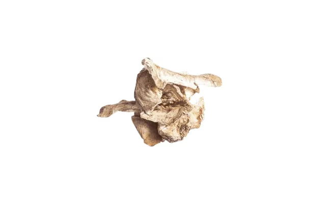 Petdk Cikorierødder 120g