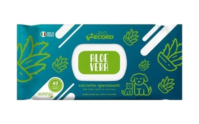 Record Italy Record New Aloe Vera Wipes Xl 80pcs Antibacterial