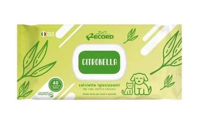 Record Italy Record New Lemon Thrush Wipes Xl 40pcs Antibacterial
