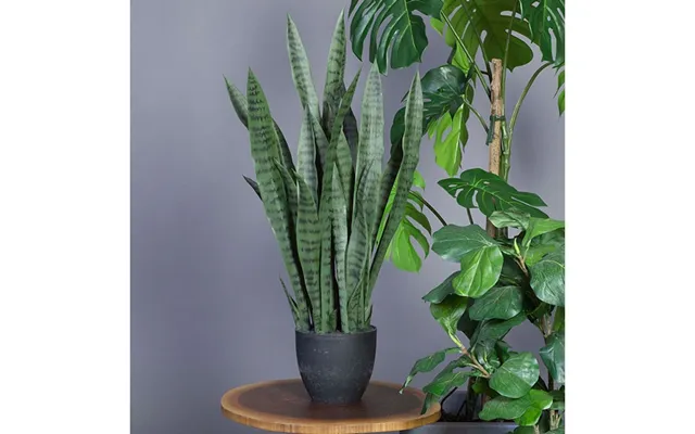 Svigermors Tunge - Kunstig Plante