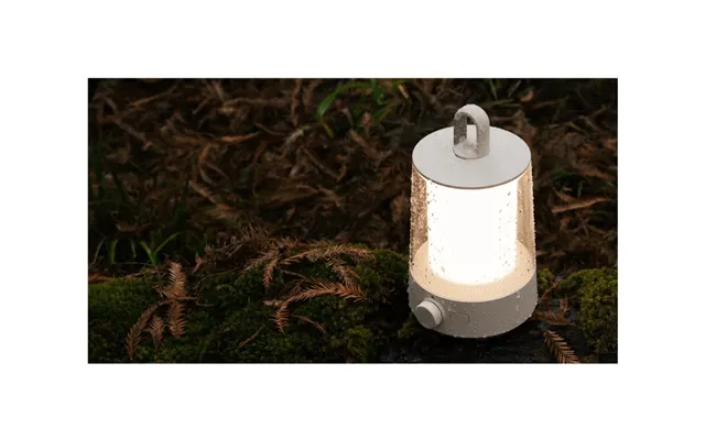Xiaomi Mjlyd001qw - Campinglys